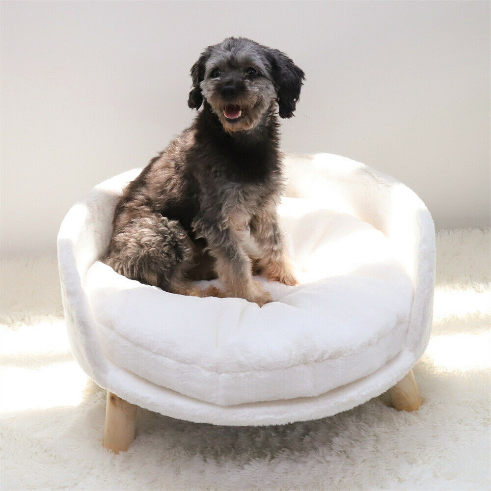Funki Findz | Pet Beds | Luxury Nordic Designed Pet Chair Stool
