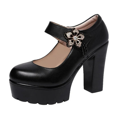 Funki Findz | Shoes | Women's Flower Buckle Mary Janes Heels