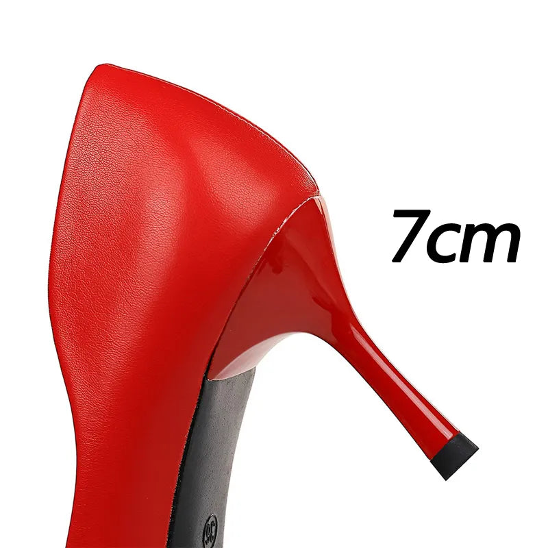 Funki Findz | Shoes | Women's Pointed Toe Metal Buckle Pumps