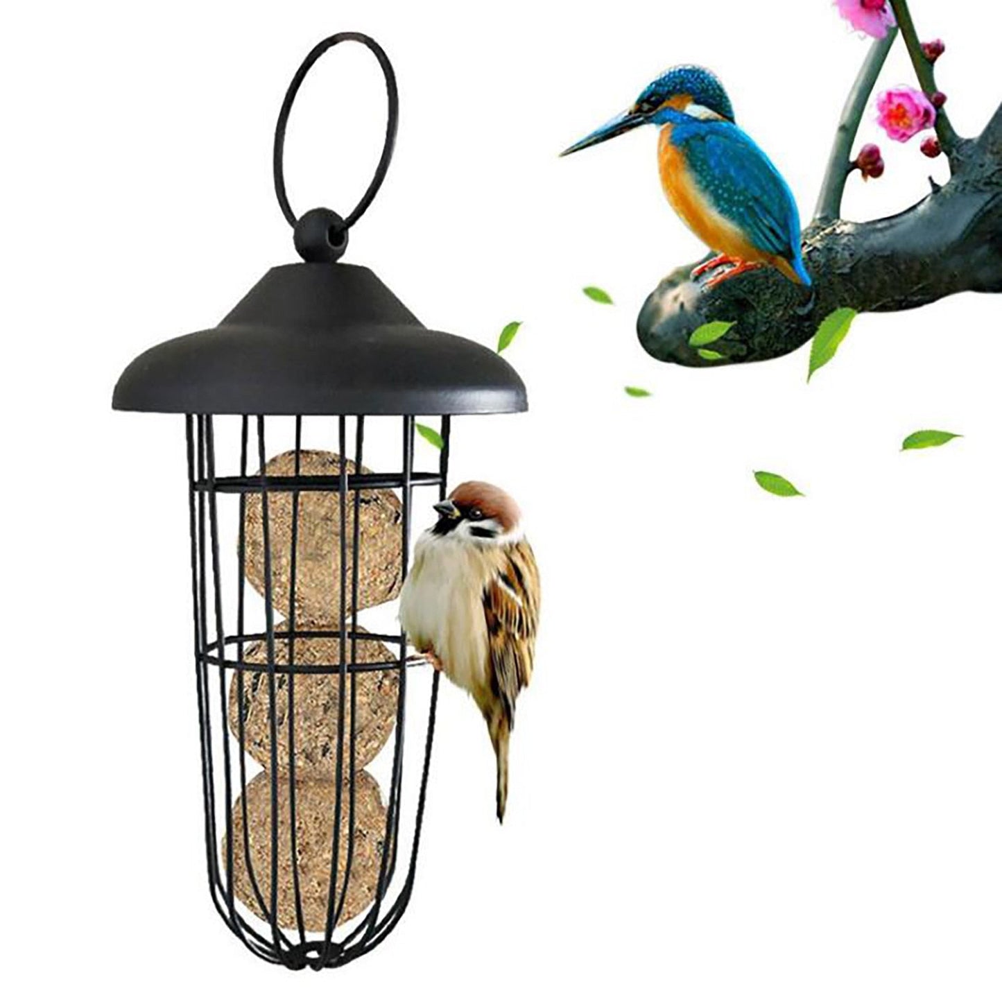Funki Findz | Bird Feeders | Hanging Bird Seed Feeder | Metal