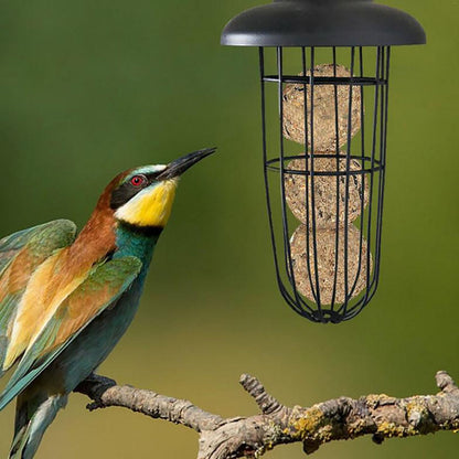 Funki Findz | Bird Feeders | Hanging Bird Seed Feeder | Metal