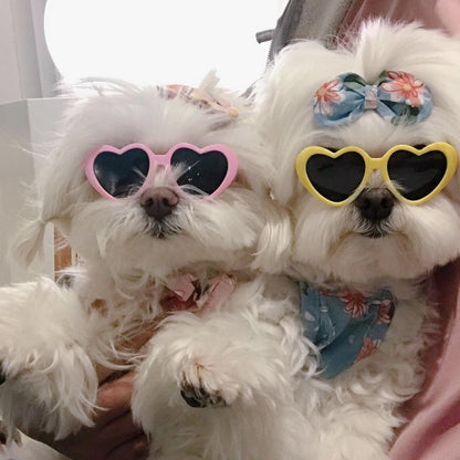 Funki Findz | Pet Sunglasses | Cute Heart Shaped Pet Sunnies