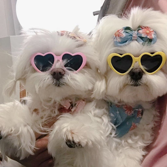 Funki Findz | Pet Sunglasses | Cute Heart Shaped Pet Sunnies