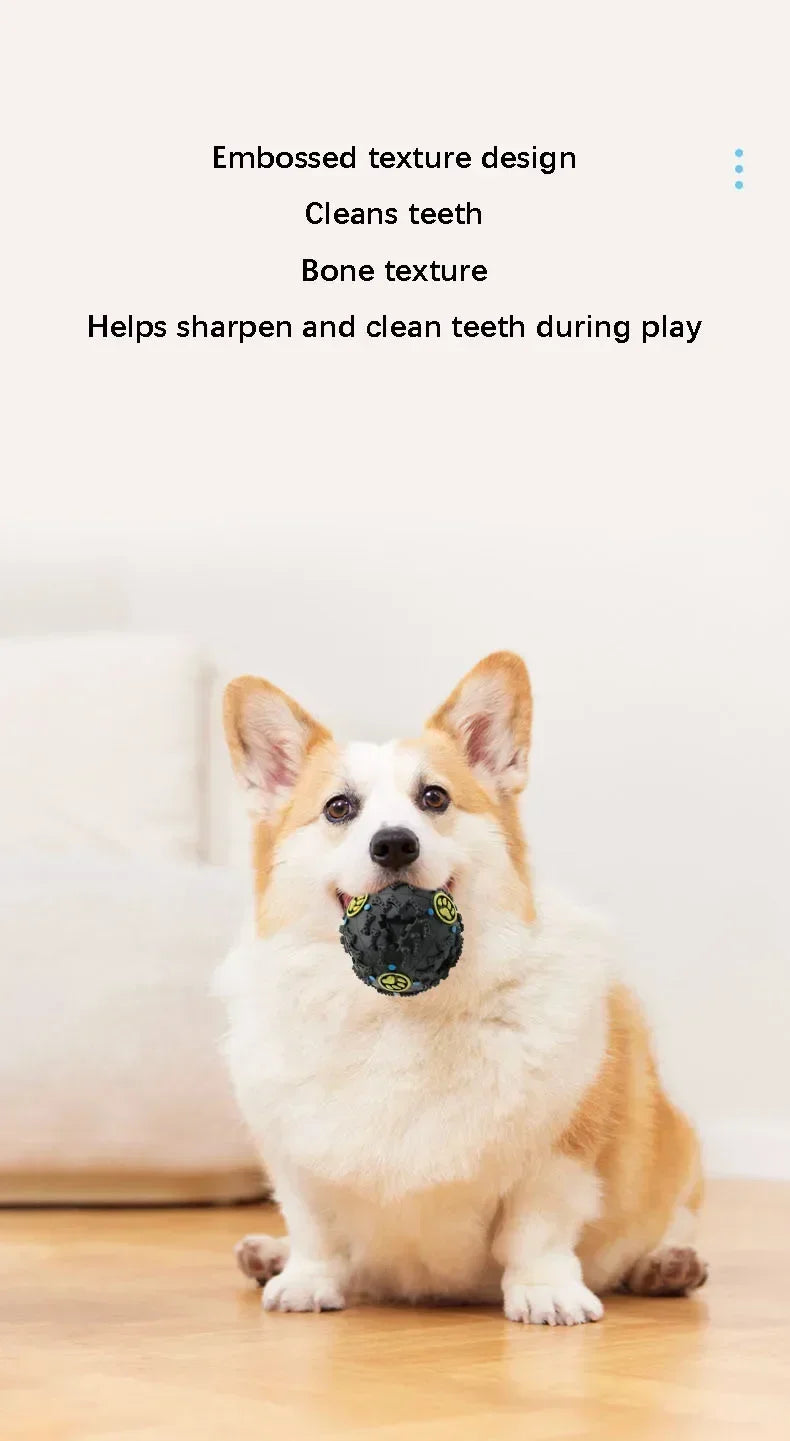Funki Findz | Pet Chew Toys | Dog Treat Ball Training Aid