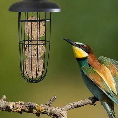 Funki Findz | Bird Feeders | Hanging Bird Seed Feeder | Metal
