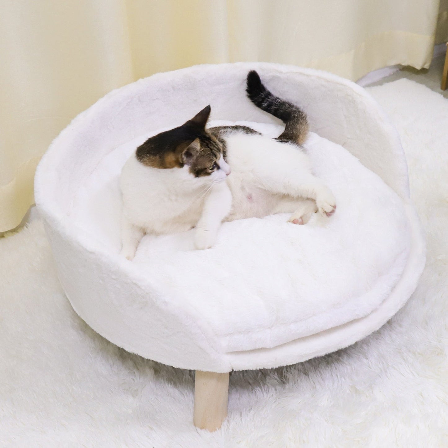 Funki Findz | Pet Beds | Pet Sofa Bed | Raised Small Dog Couch