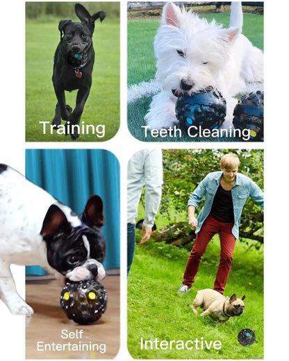 Funki Findz | Pet Chew Toys | Dog Treat Ball Training Aid