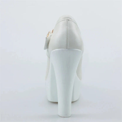 Funki Findz | Shoes | Women's Flower Buckle Mary Janes Heels