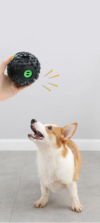 Funki Findz | Pet Chew Toys | Dog Treat Ball Training Aid