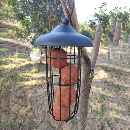 Funki Findz | Bird Feeders | Hanging Bird Seed Feeder | Metal