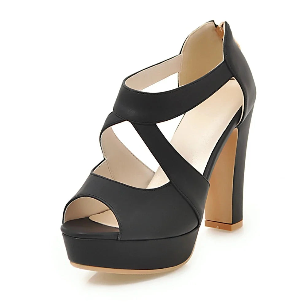 Funki Findz | Shoes | Women's Block Heel High Platform Sandal