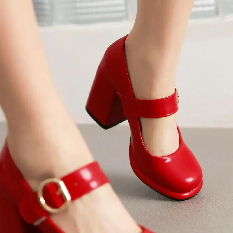 Funki Findz | Shoes | Women's Chunky High Heel Mary Janes