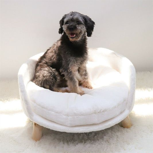 Funki Findz | Pet Beds | Pet Sofa Bed | Raised Small Dog Couch
