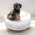 Funki Findz | Pet Beds | Pet Sofa Bed Raised Small Dog Couch