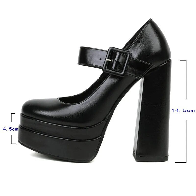 Funki Findz | Shoes | Women's High Heel Chunky Platform Shoes
