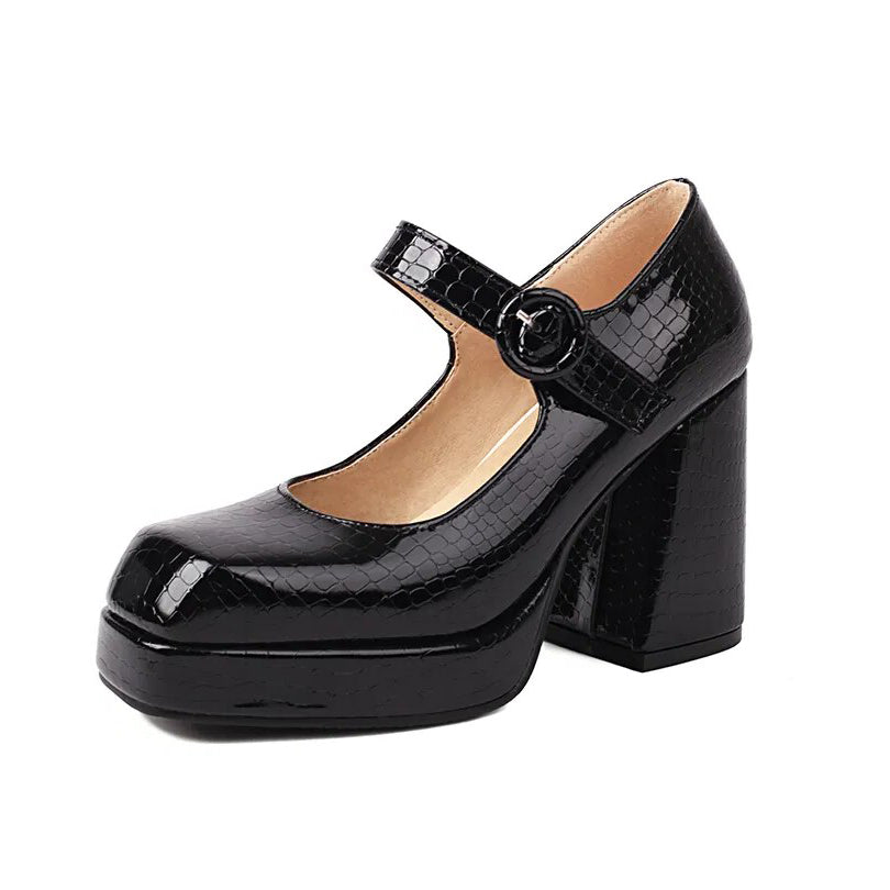Funki Findz | Shoes | Women's Glossy High Mary Jane Platforms