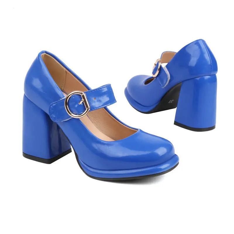 Funki Findz | Shoes | Women's Chunky High Heel Mary Janes