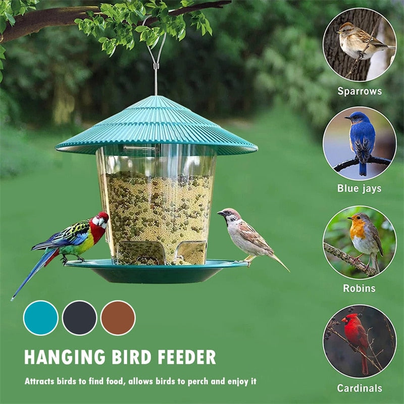 Funki Findz | Bird Feeders | Water Squirrel Proof Hanging Feeder