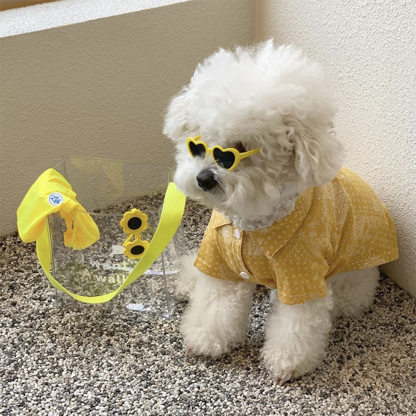 Funki Findz | Pet Sunglasses | Cute Heart Shaped Pet Sunnies