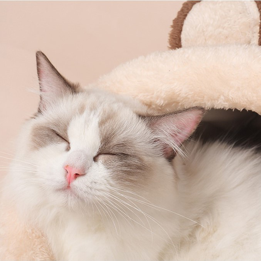 Funki Findz | Pet Beds | Cat Bed | Cat Cave | Warm Kitty House