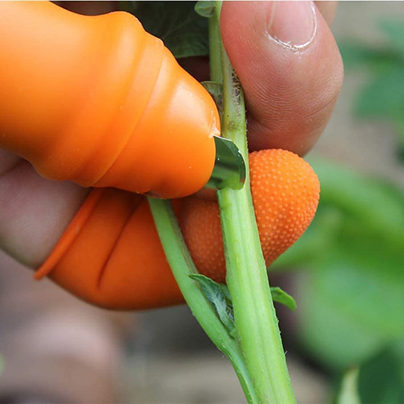 Funki Findz | Thumb Knives | Garden Kitchen Thumb Blade 12 Pc