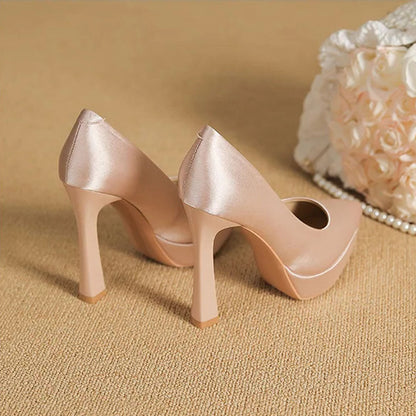 Funki Findz | Shoes | Women's Elegant Satin High Heel Pumps
