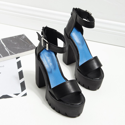 Funki Findz | Shoes | Women's Sexy High Chunky Heel Platforms