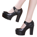 Funki Findz | Shoes | Women's Flower Buckle Mary Janes Heels