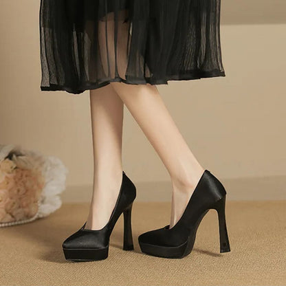Funki Findz | Shoes | Women's Elegant Satin High Heel Pumps