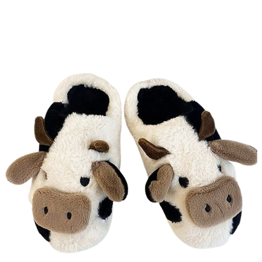 Funki Findz | Shoes | Women's Fluffy Winter Slippers