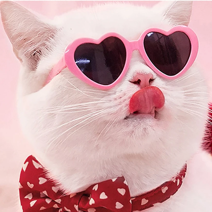 Funki Findz | Pet Sunglasses | Cute Heart Shaped Pet Sunnies