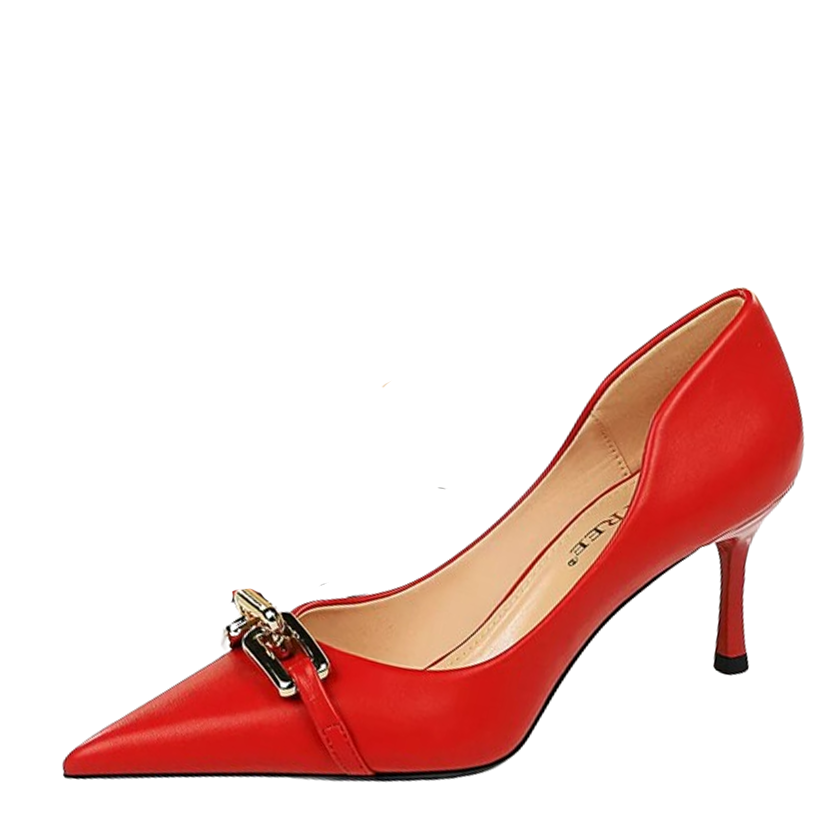 Funki Findz | Shoes | Women's Pointed Toe Metal Buckle Pumps