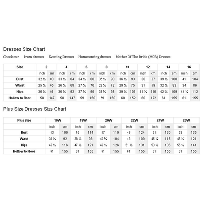 . The top chart lists sizes 2 to 16 with measurements in inches and centimeters for bust, waist, hips, and hollow to floor. The bottom chart displays plus sizes 16W to 26W with similar measurements. Keywords: dress size chart, measurements, size guide, bust, waist, hips."
