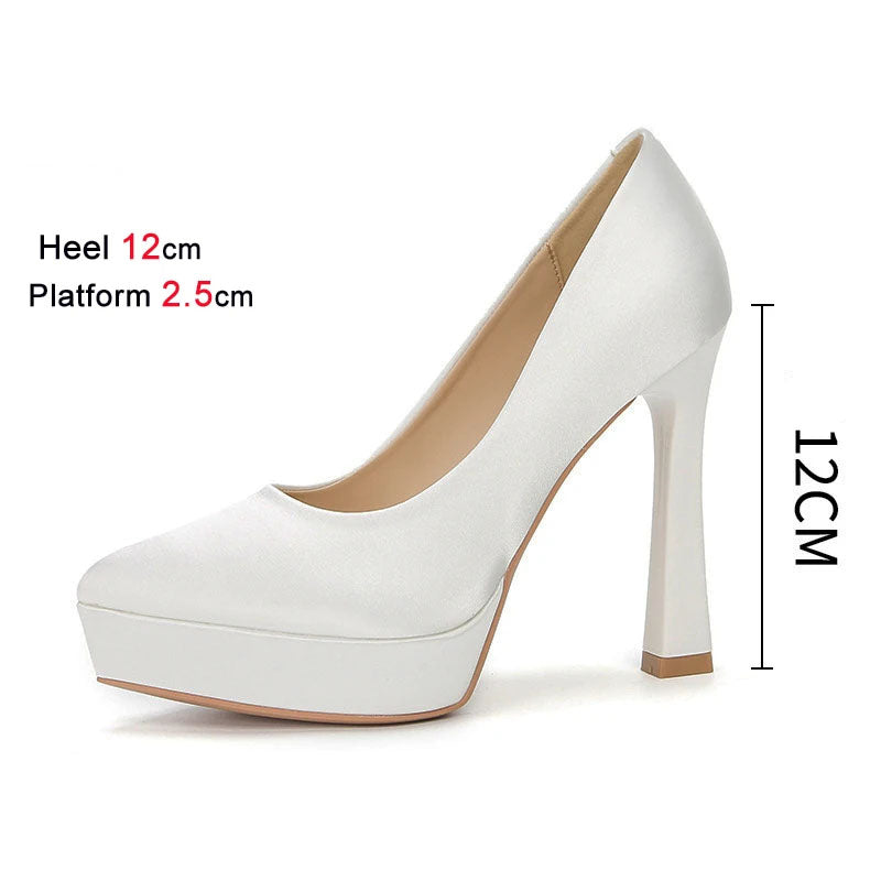 Funki Findz | Shoes | Women's Elegant Satin High Heel Pumps