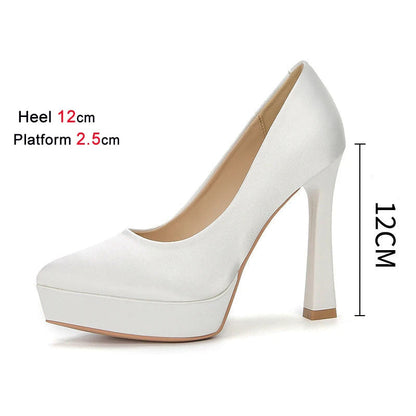 Funki Findz | Shoes | Women's Elegant Satin High Heel Pumps