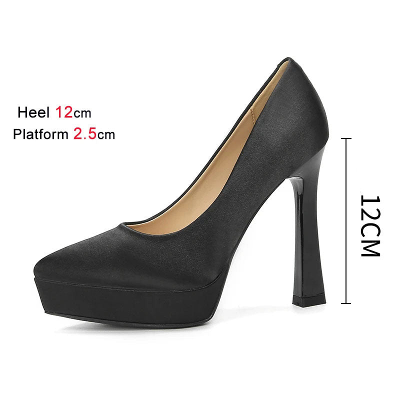 Funki Findz | Shoes | Women's Elegant Satin High Heel Pumps