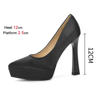 Funki Findz | Shoes | Women's Elegant Satin High Heel Pumps