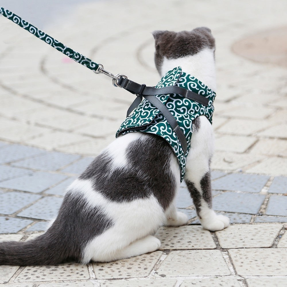 Funki Findz | Pet Harnesses | Cat Harness Walking Lead Vest Set