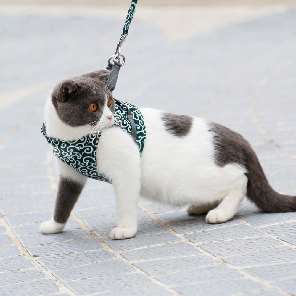 Funki Findz | Pet Harnesses | Cat Harness Walking Lead Vest Set