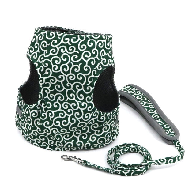 Funki Findz | Pet Harnesses | Cat Harness Walking Lead Vest Set