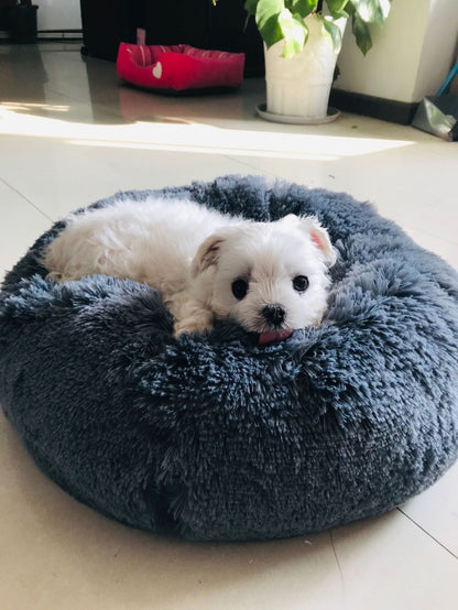 Funki Findz | Pet Beds | Dog Cat Bed | Round Donut Cudler Bed
