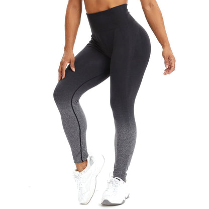 Funki Findz | Pants | Women's High Waist Yoga Pants | Leggings