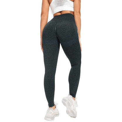 Funki Findz | Pants | Women's High Waist Yoga Pants | Leggings