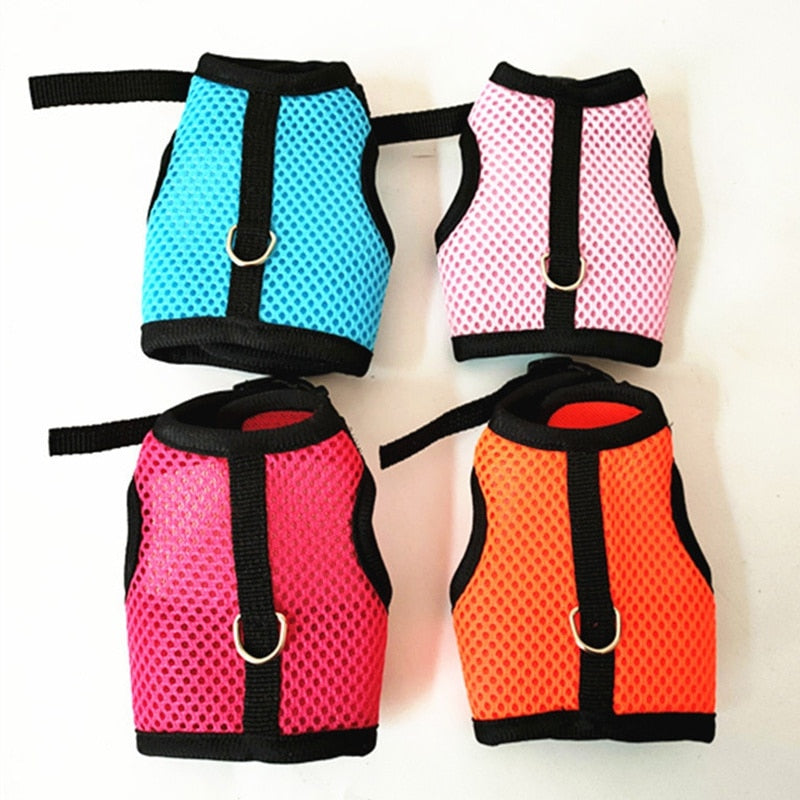 Funki Findz | Pet Harnesses | Small Pet Leash Vests | Rabbit Cat