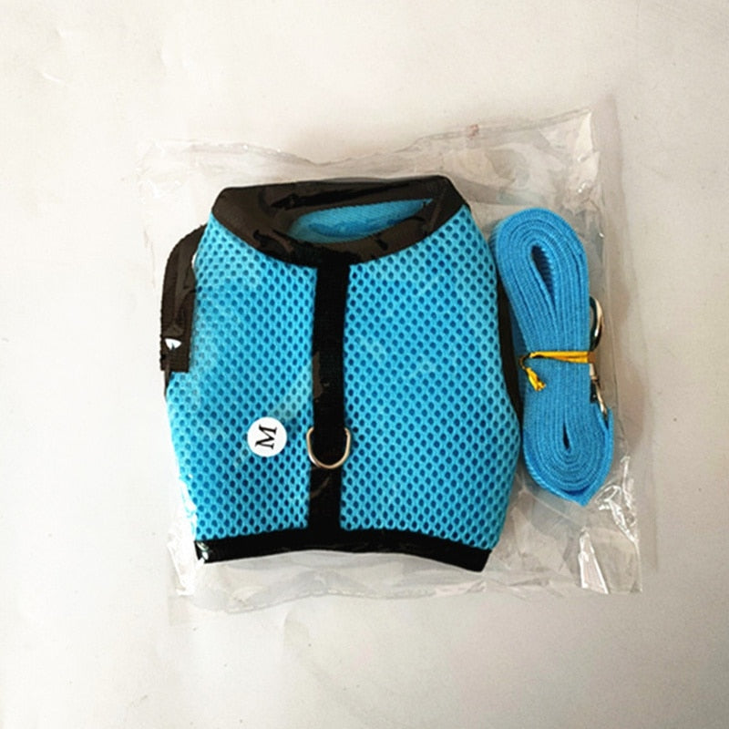Funki Findz | Pet Harnesses | Small Pet Leash Vests | Rabbit Cat