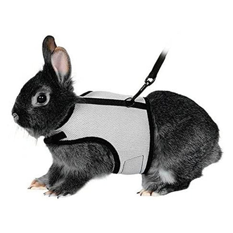 Funki Findz | Pet Harnesses | Small Pet Leash Vests | Rabbit Cat
