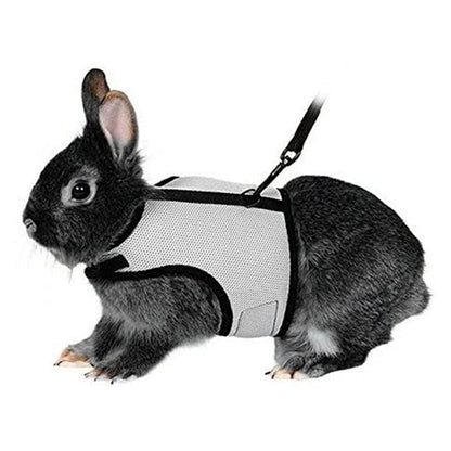 Funki Findz | Pet Harnesses | Small Pet Leash Vests | Rabbit Cat