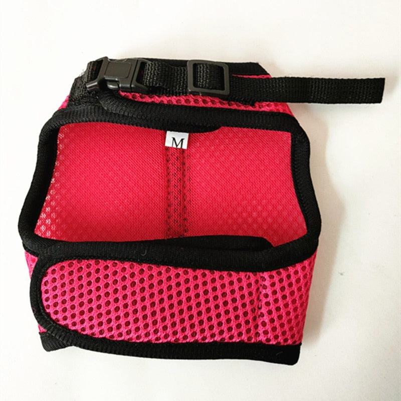 Funki Findz | Pet Harnesses | Small Pet Leash Vests | Rabbit Cat