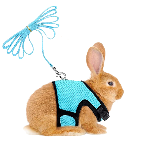 Funki Findz | Pet Harnesses | Small Pet Leash Vests | Rabbit Cat