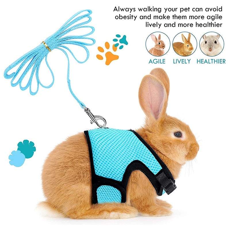 Funki Findz | Pet Harnesses | Small Pet Leash Vests | Rabbit Cat